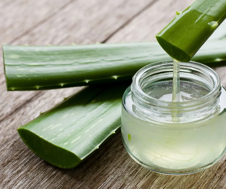 gel aloe vera dans un pot de verre