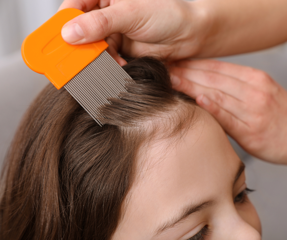 poux peigne métallique cheveux enfant