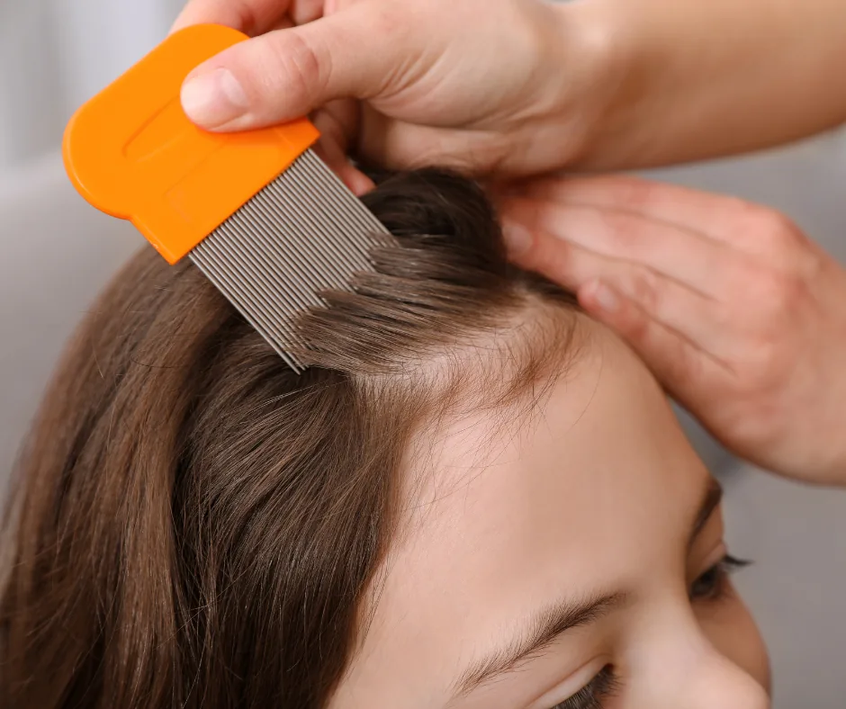 poux peigne métallique cheveux enfant
